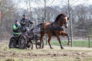 oefenmarathon 2016 MG 0278-0278 